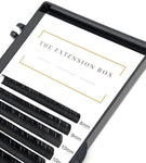 The Extension Box All-In-One Training Kit